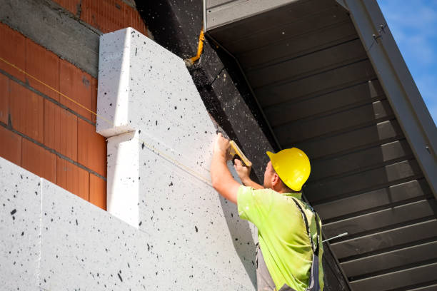 Best Wall Insulation Installation in USA